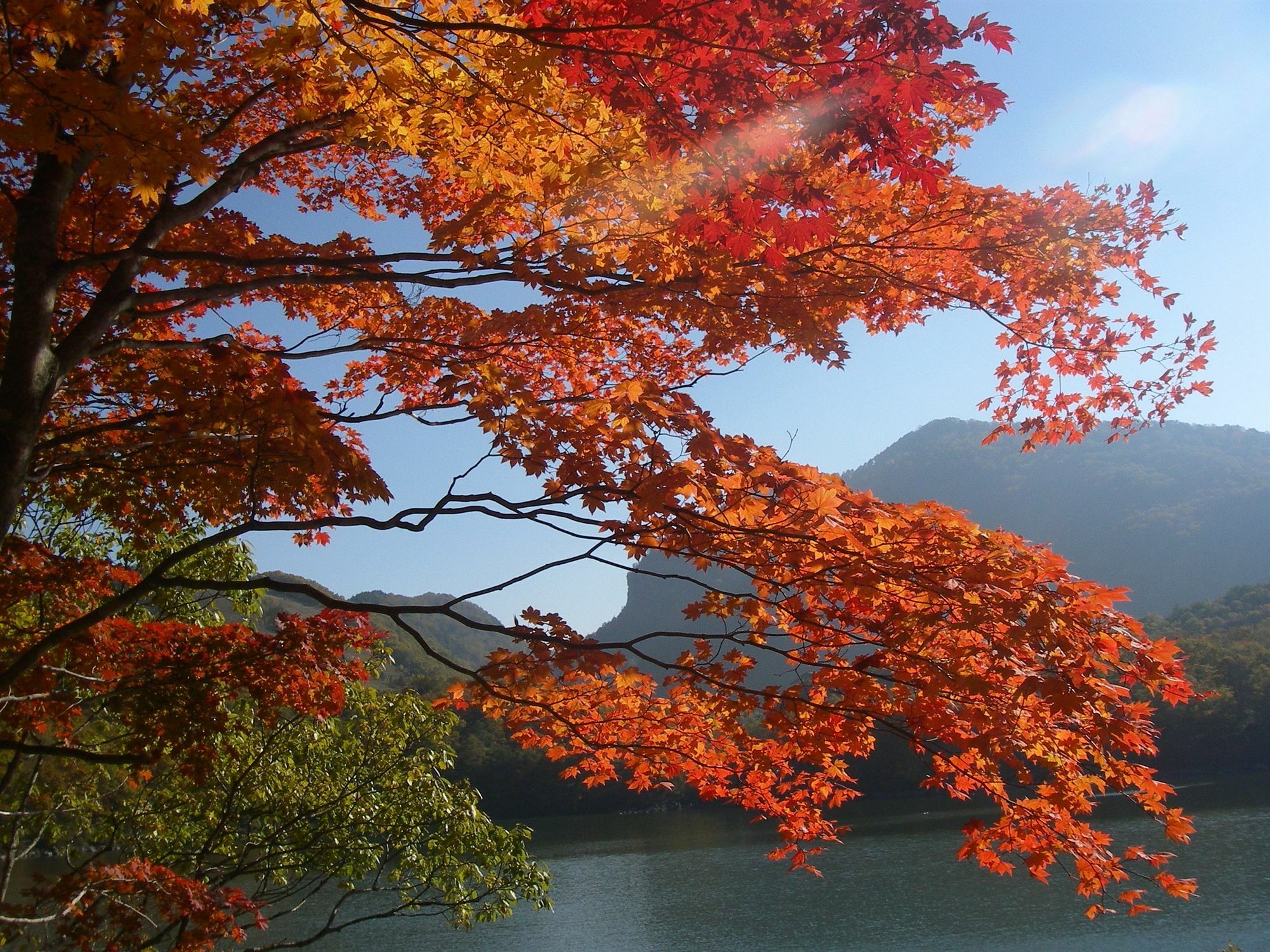 Shiga Ichii Hotel ยามาโนะอุจิ ภายนอก รูปภาพ